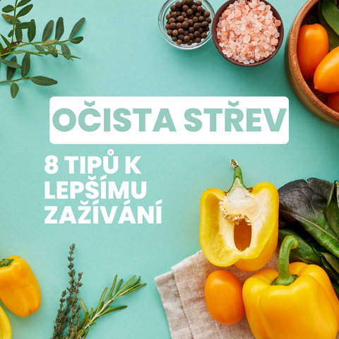 Očista střev